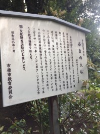 千葉県に奈良の大仏？！